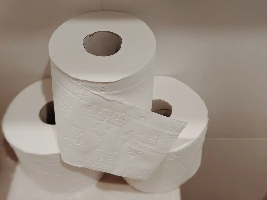 Toilet Paper (Tisu Toilet) — kosakata bahasa Inggris Perlengkapan Kamar Mandi