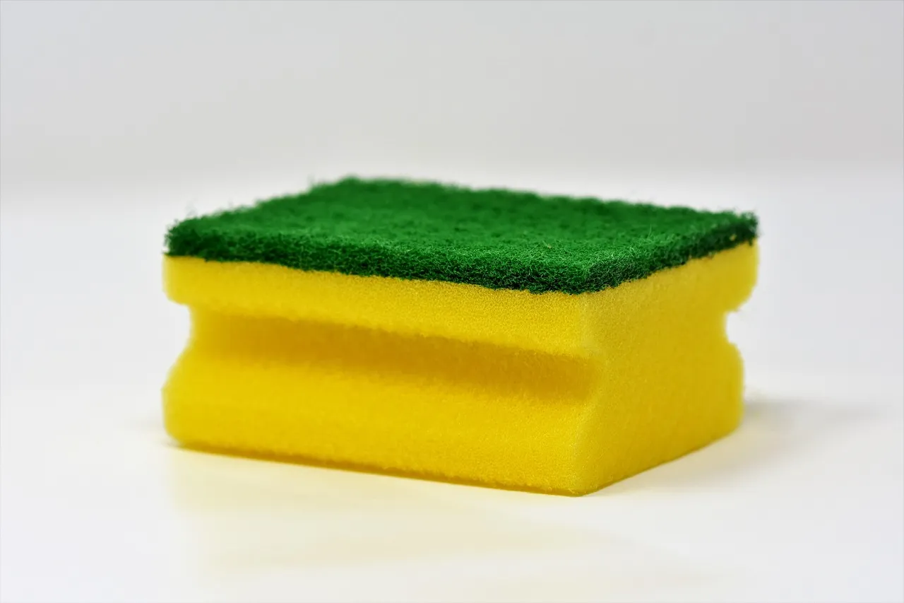Sponge (Spons) — kosakata bahasa Inggris Perlengkapan Kamar Mandi