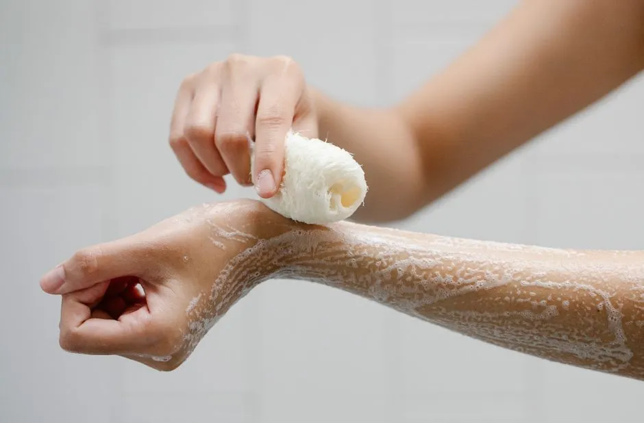 Loofah (Loofah) — kosakata bahasa Inggris Perlengkapan Kamar Mandi