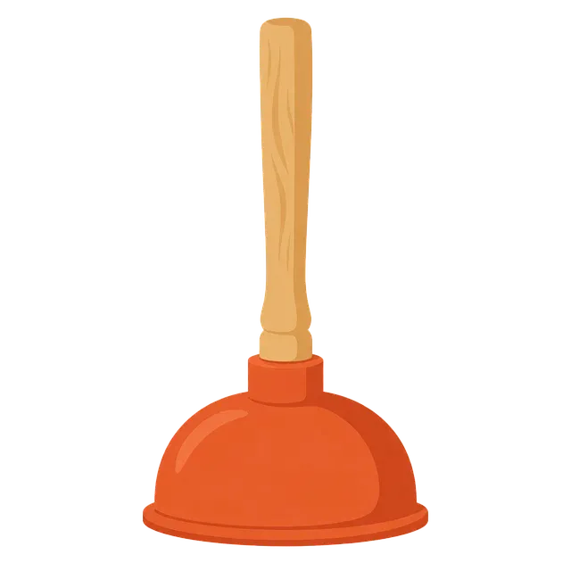 Plunger (Alat Penyedot WC) — kosakata bahasa Inggris Perlengkapan Kamar Mandi