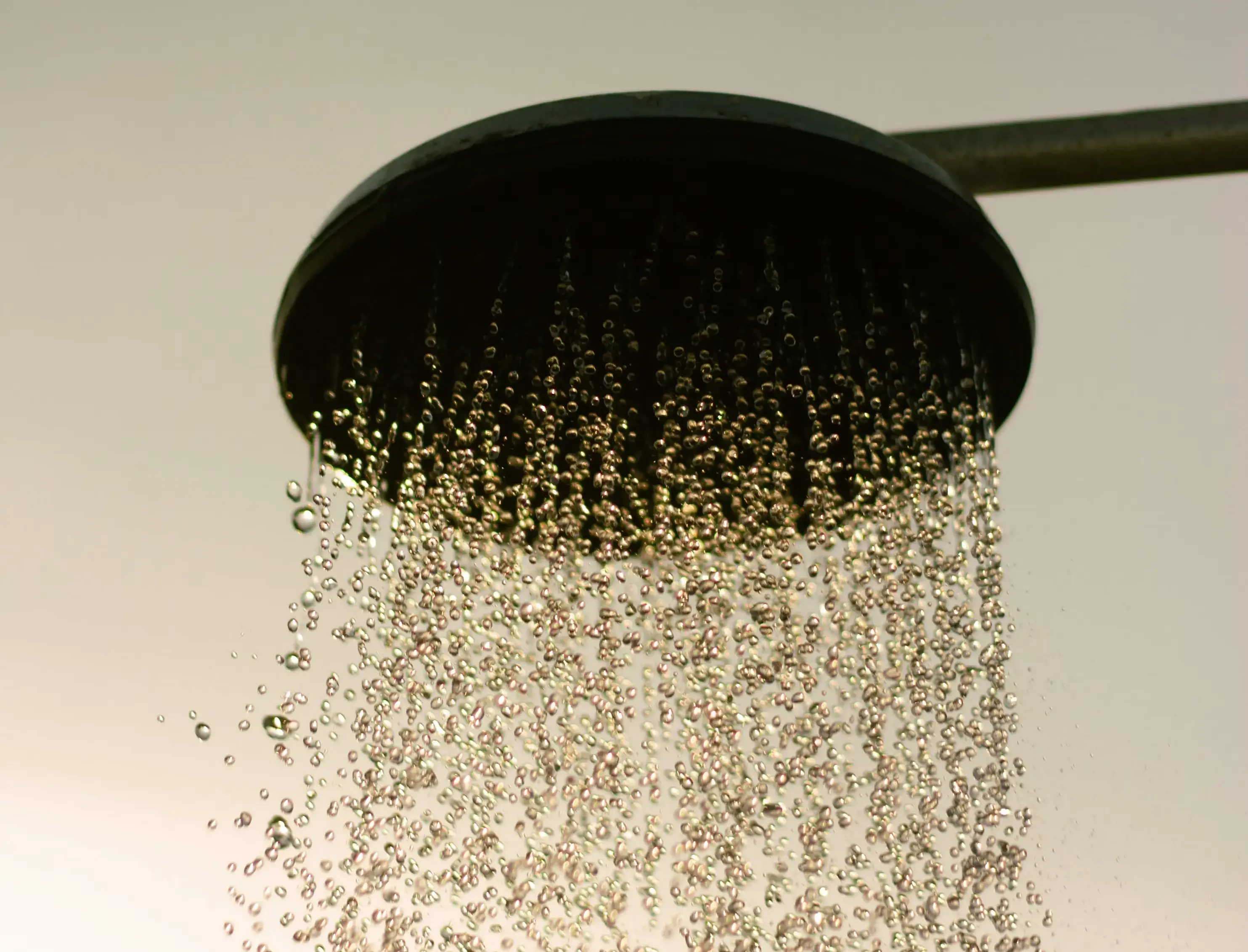 Showerhead (Kepala Shower) — kosakata bahasa Inggris Perlengkapan Kamar Mandi