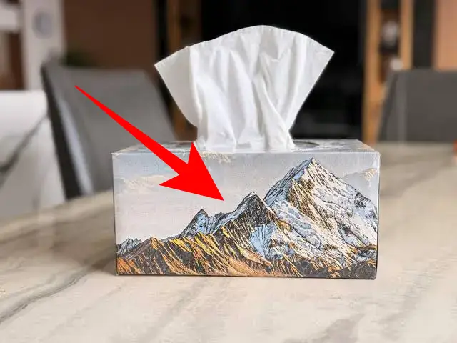 Tissue Box (Kotak Tisu) — kosakata bahasa Inggris Perlengkapan Kamar Mandi