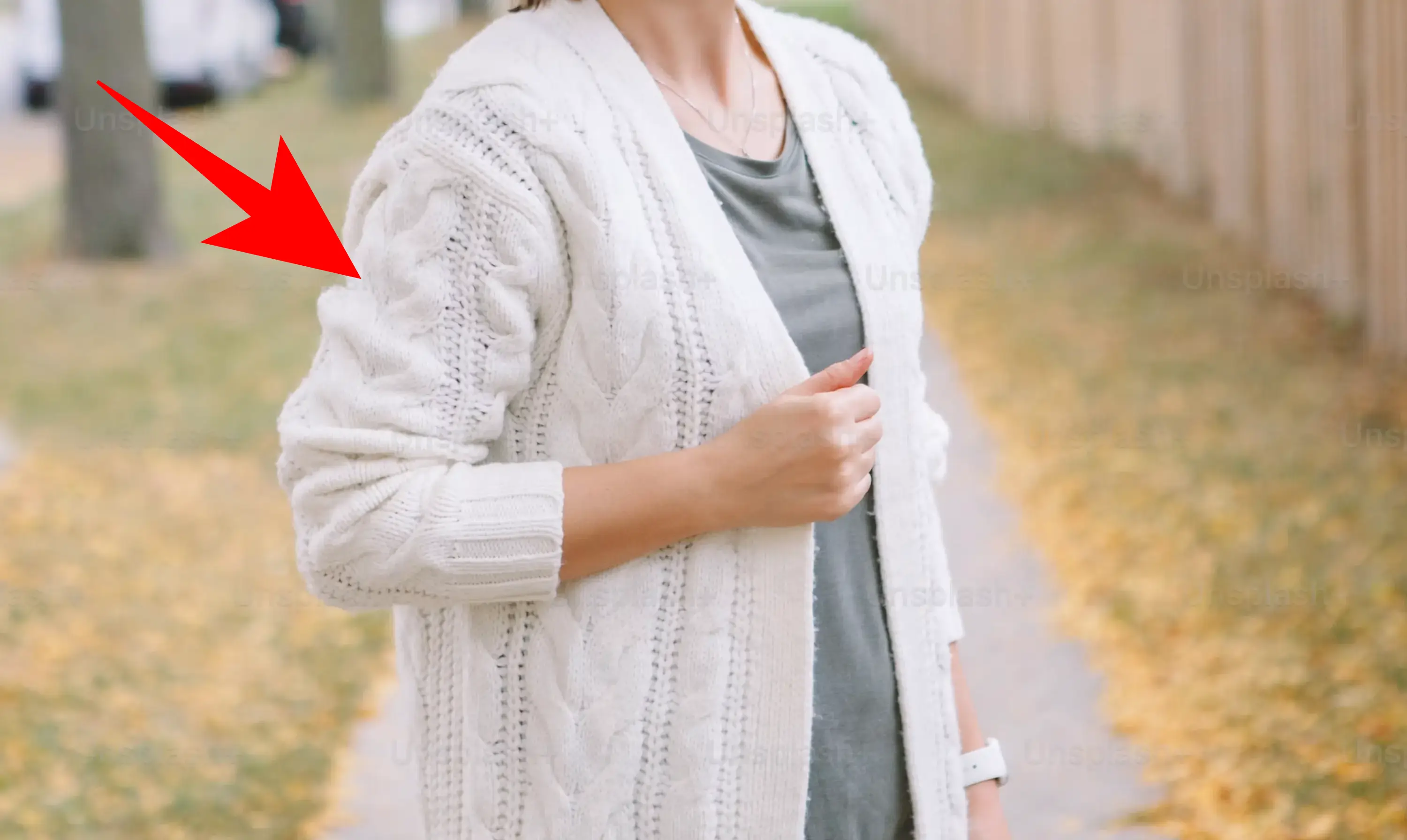 Cardigan (Cardigan (Sweter Terbuka)) — kosakata bahasa Inggris Pakaian dan Aksesori