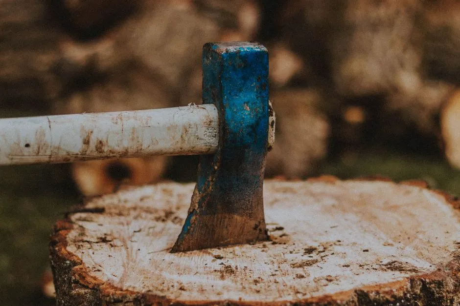 Axe — Hand Tools vocabulary in English
