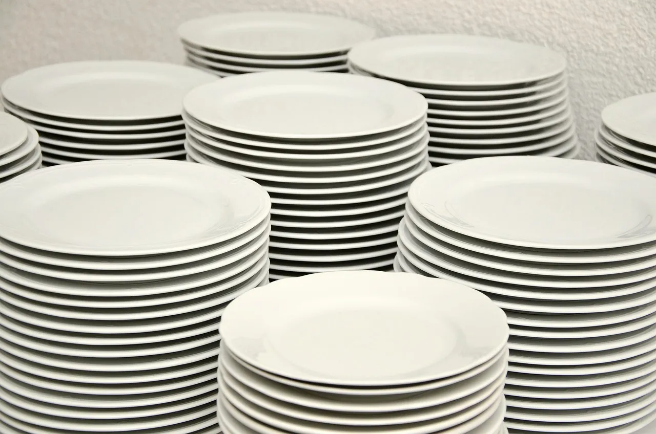 Plate — Kitchen Appliances and Tableware vocabulary in English