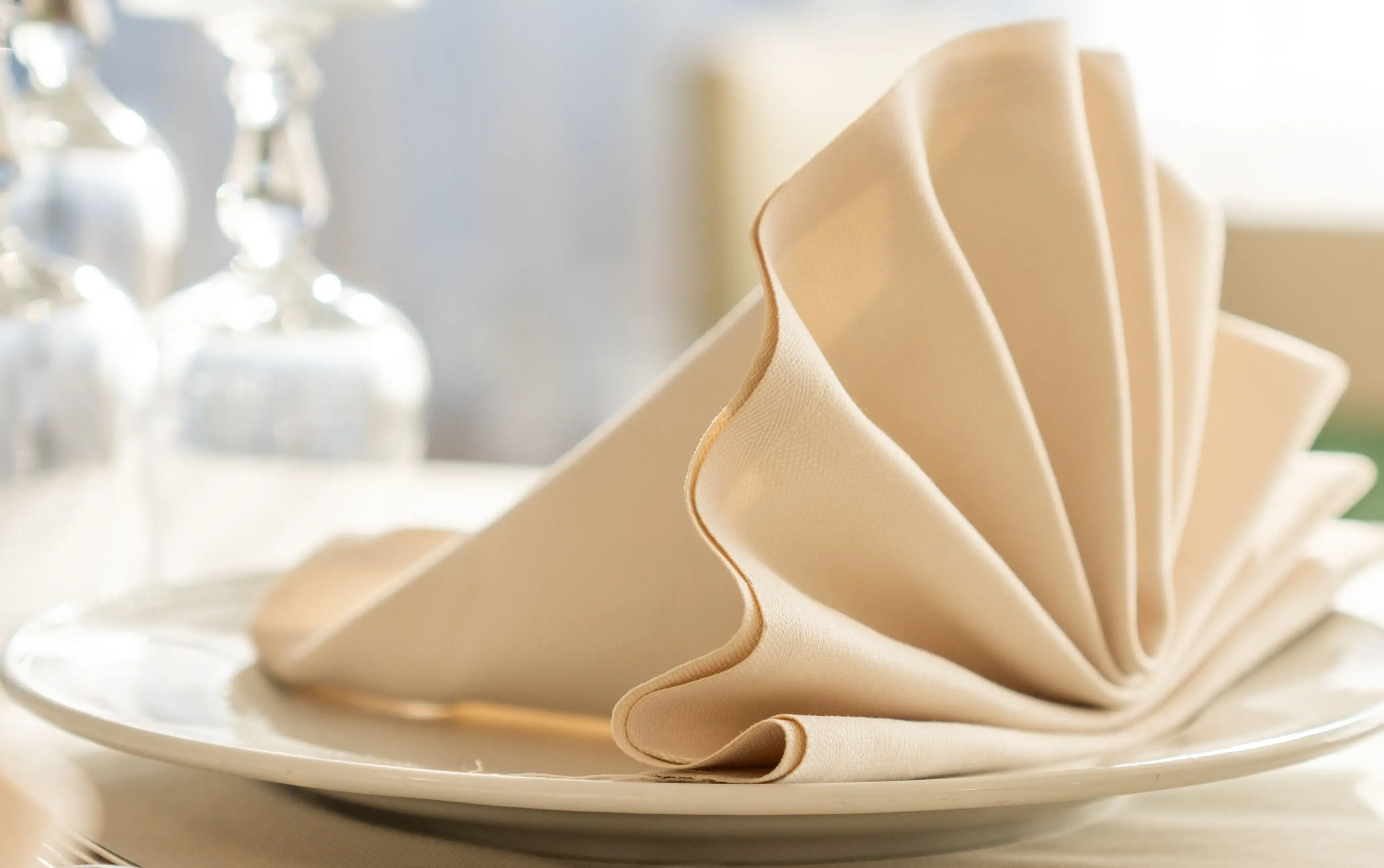 Napkin — Kitchen Appliances and Tableware vocabulary in English