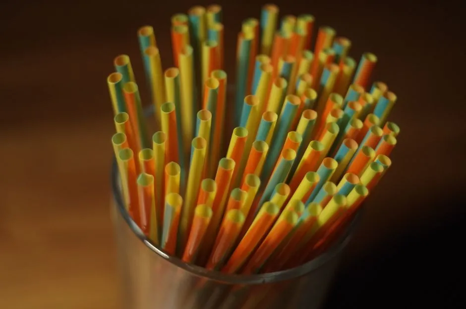 Straw — Kitchen Appliances and Tableware vocabulary in English