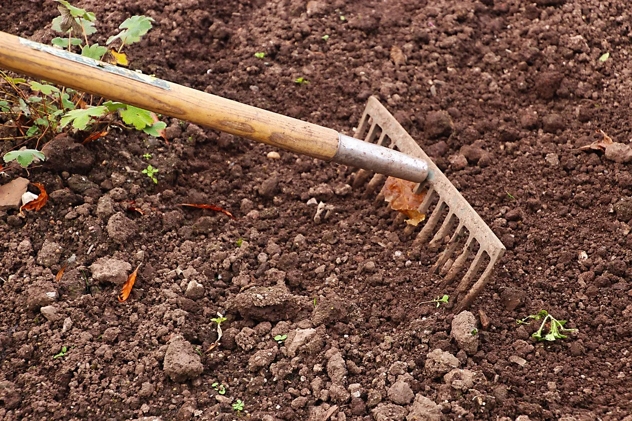 Rake — Power Tools and Equipment vocabulary in English
