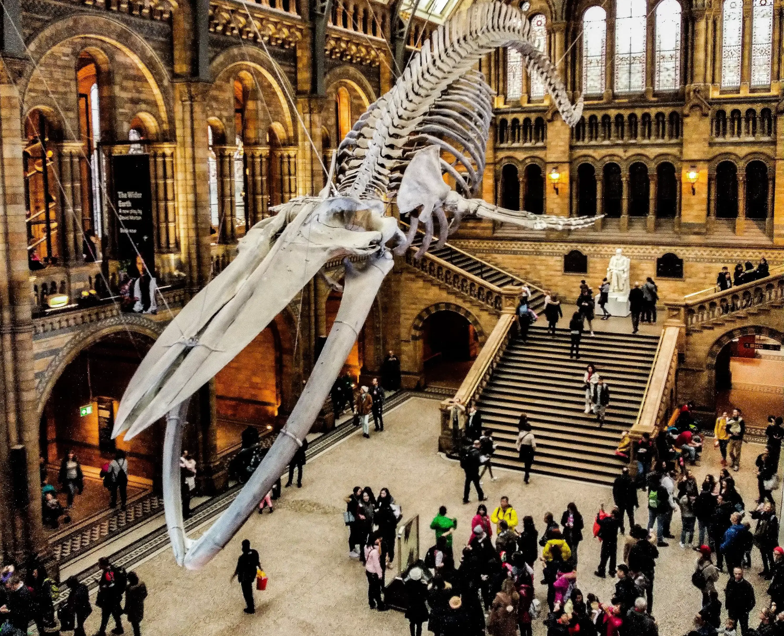 Museum — Public Places vocabulary in English
