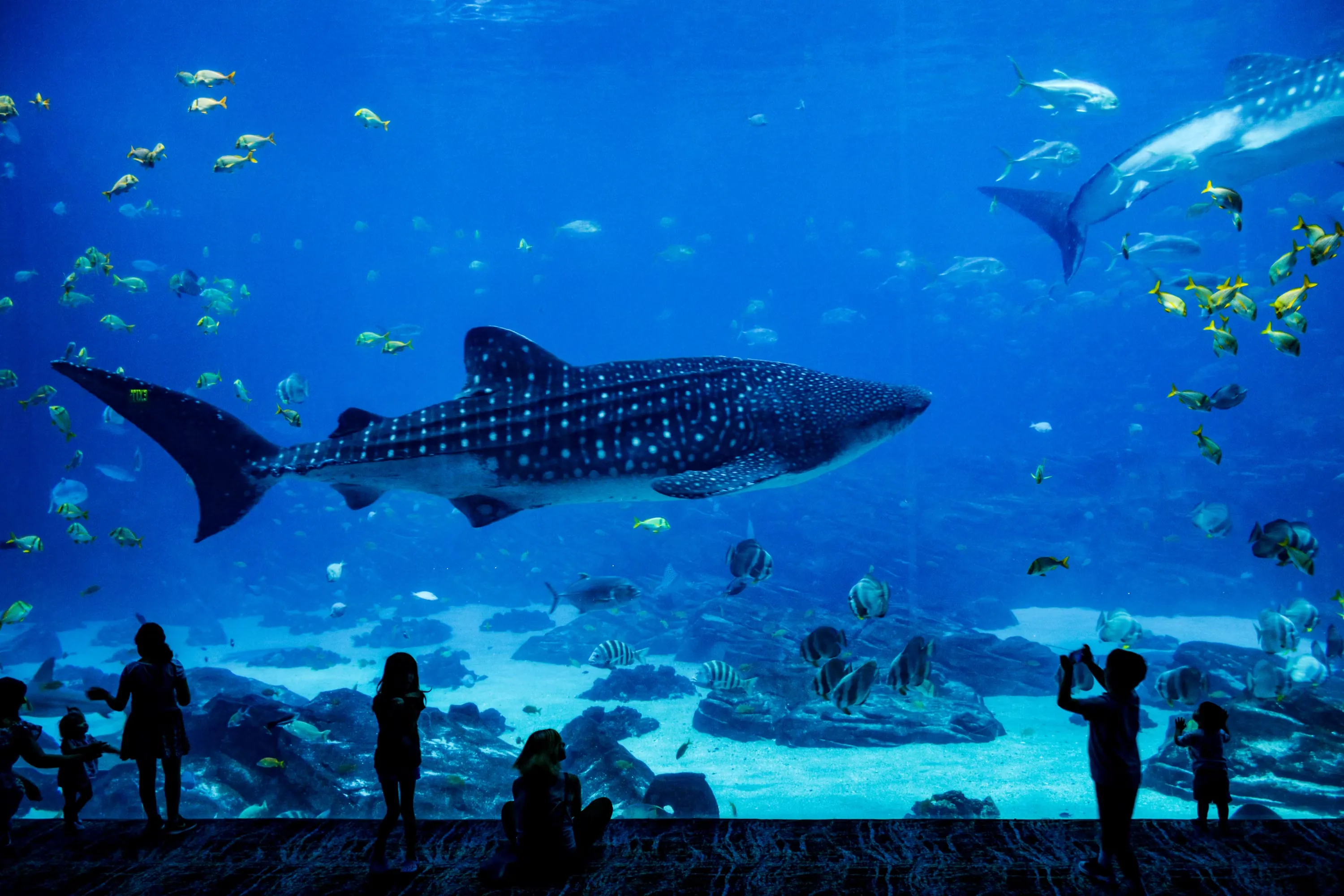 Aquarium — Public Places vocabulary in English