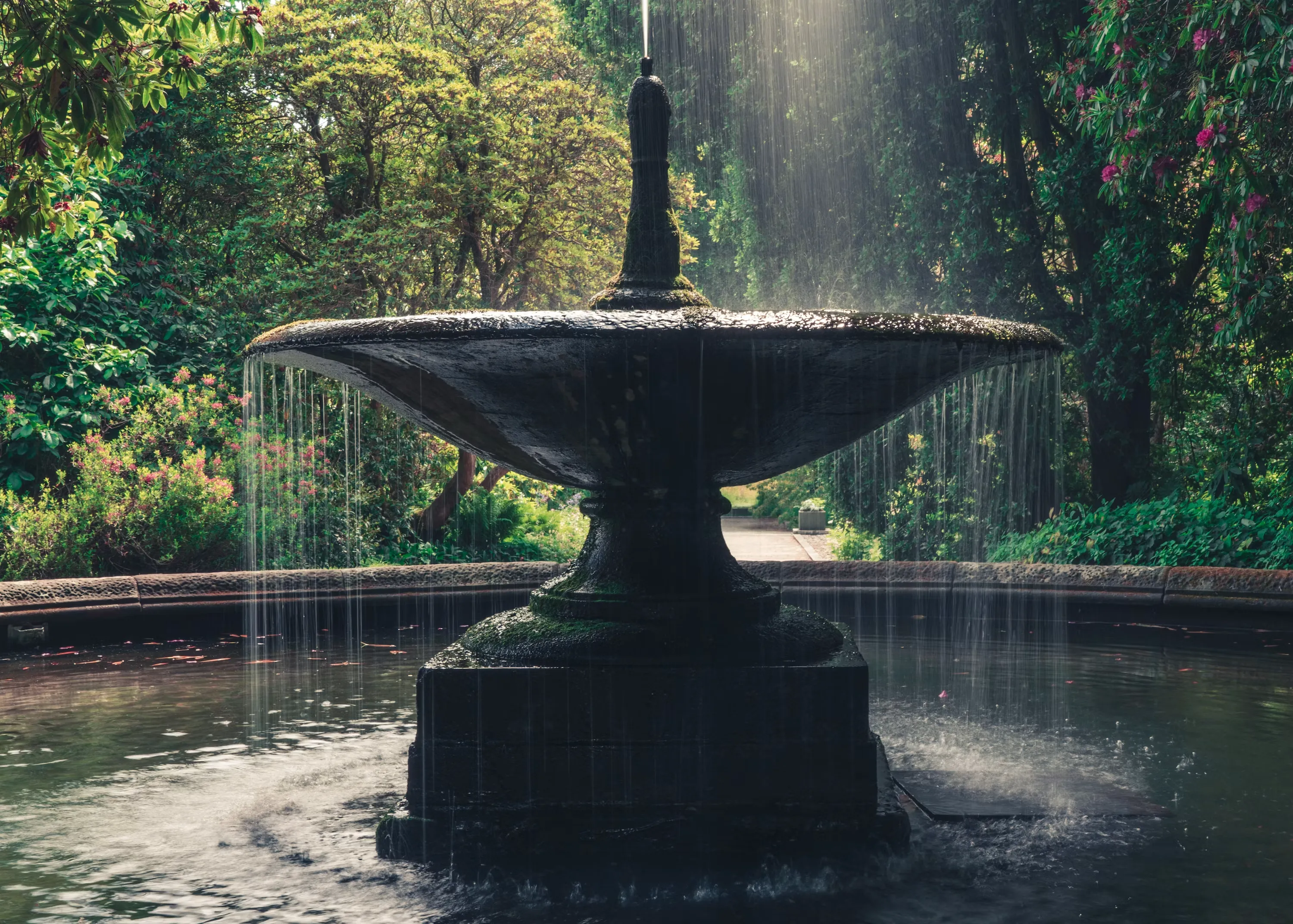 Water Fountain — School and Campus vocabulary in English