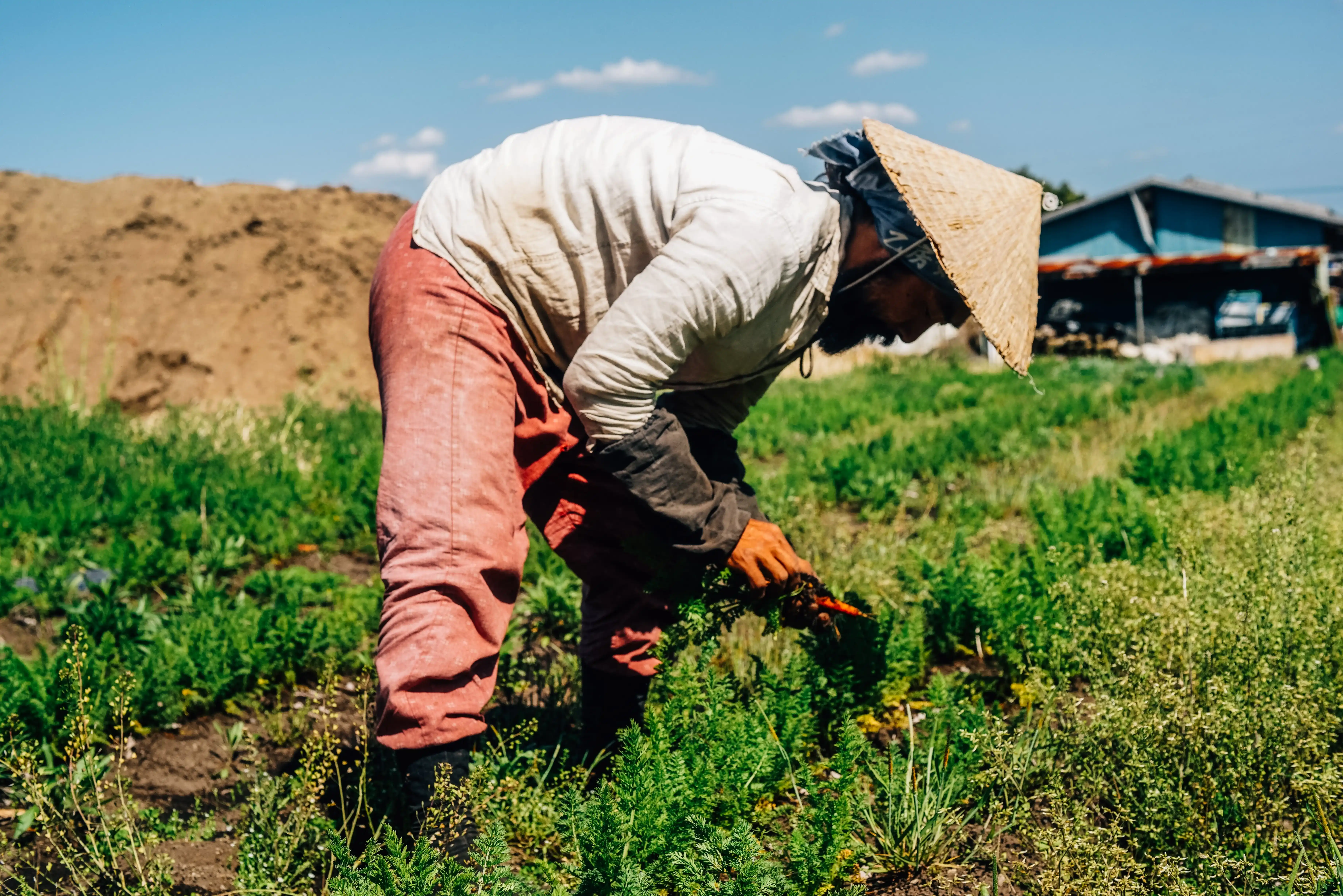 Farmer — Trade and Service Jobs vocabulary in English