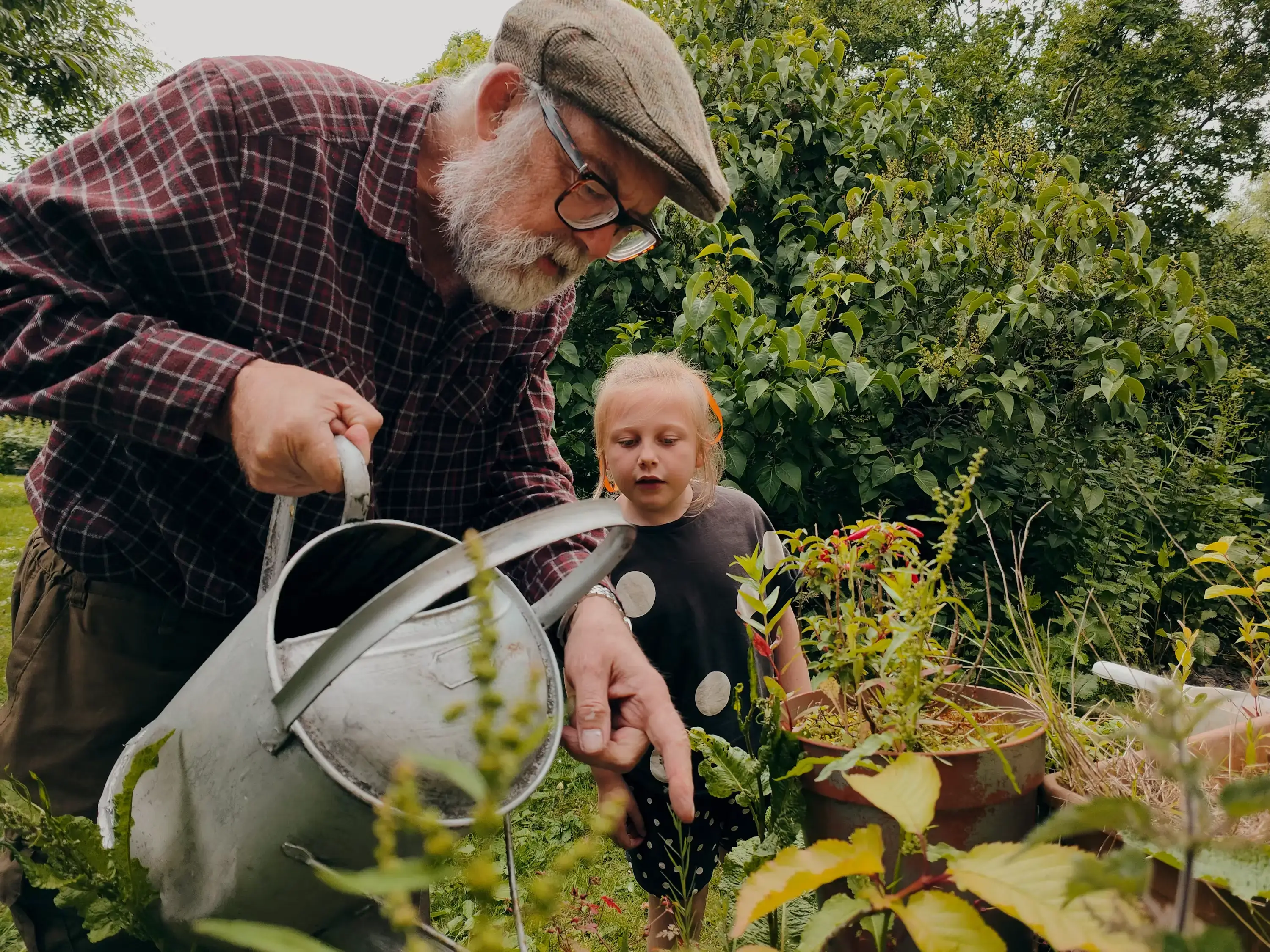 Gardener — Trade and Service Jobs vocabulary in English