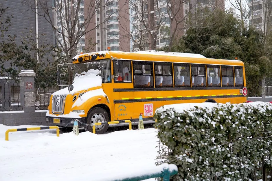 Bus — Vehicles and Transportation vocabulary in English